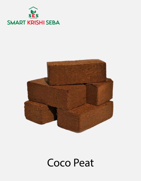 coco peat