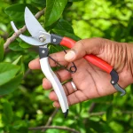 Pruning-Shears