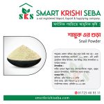 শামুকের-গুড়া